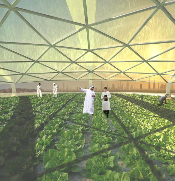 The Seawater Vertical Farm farming the deserts