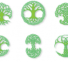 What Celtic Tree Astrology Sign Are You?