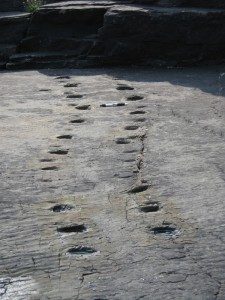 Tetrapod footprints on Valentia Island