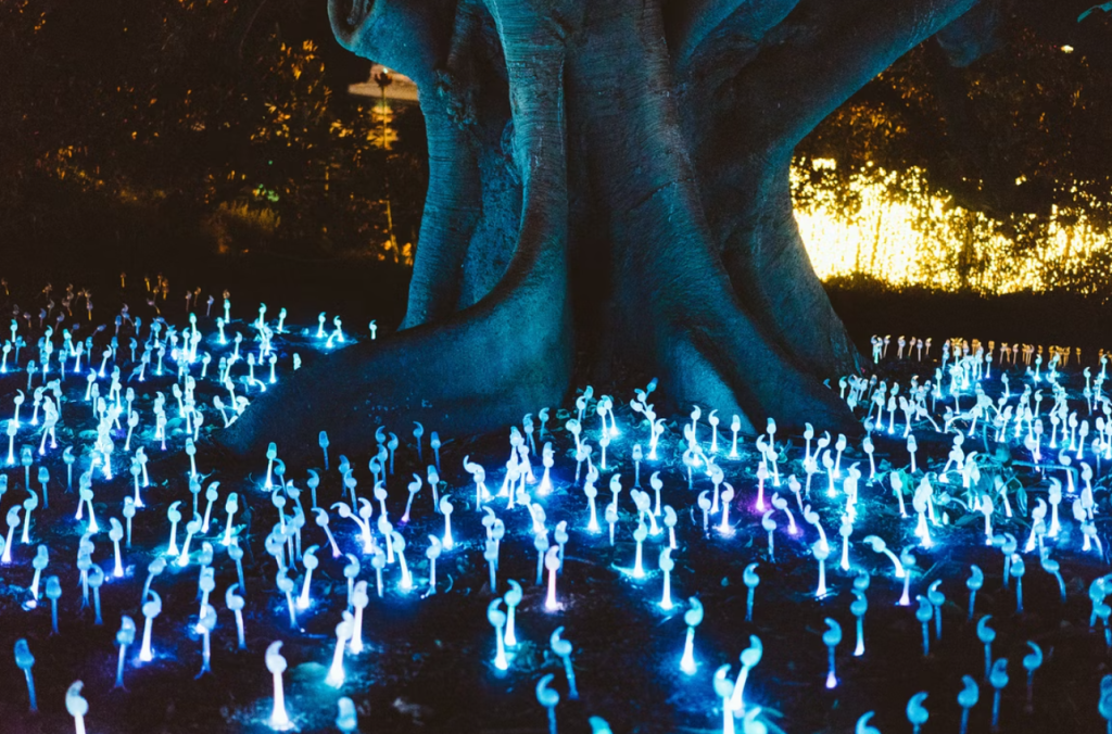 The Fairy Palace Of The Quicken Trees A Rescued old Celtic Tale