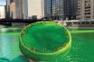 paddy's day