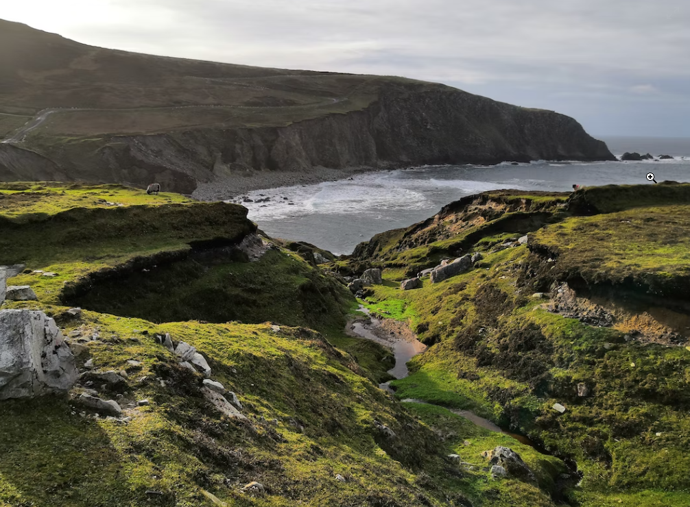 Valentine's Day Valentine's Day