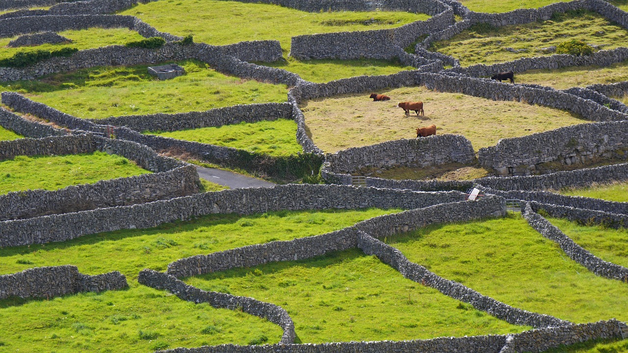 Our Living Islands: save our islands