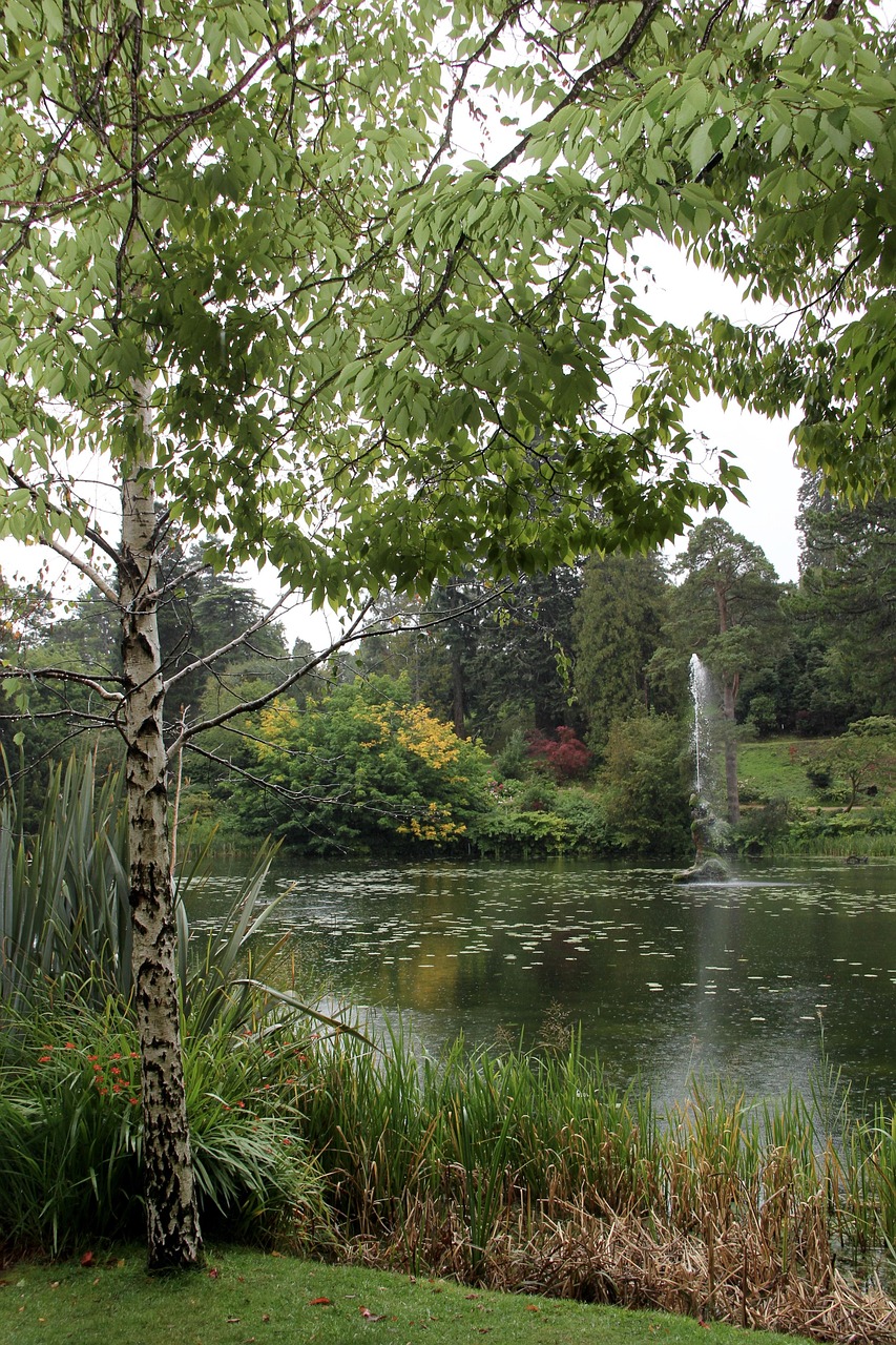 Irish garden winner: Powerscourt Gardens