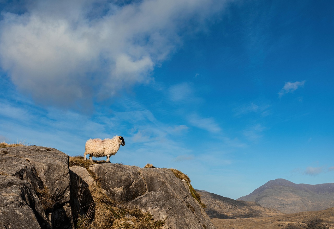 life on ireland's islands