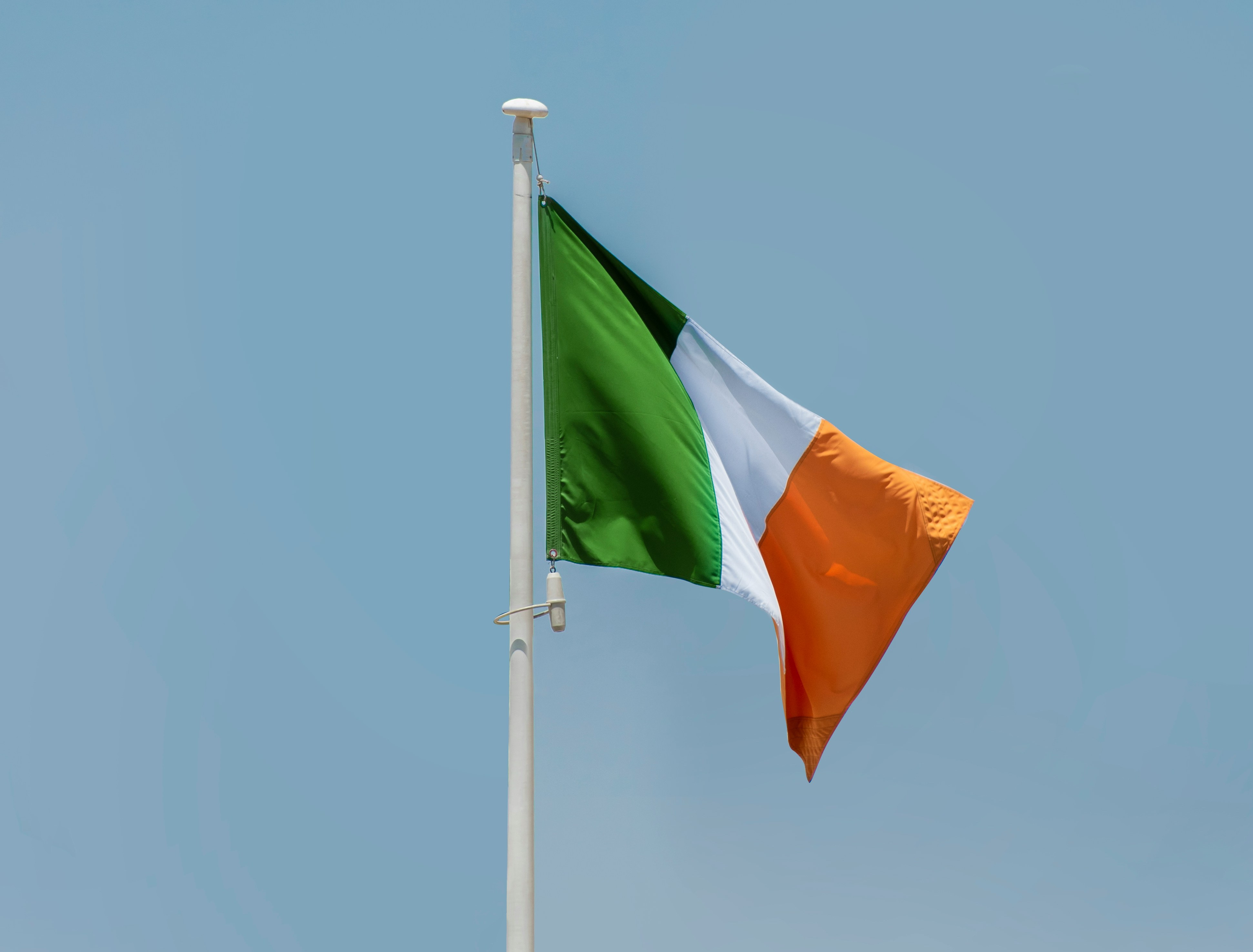 Conor McGregor Running for President: Old Moore Predicts