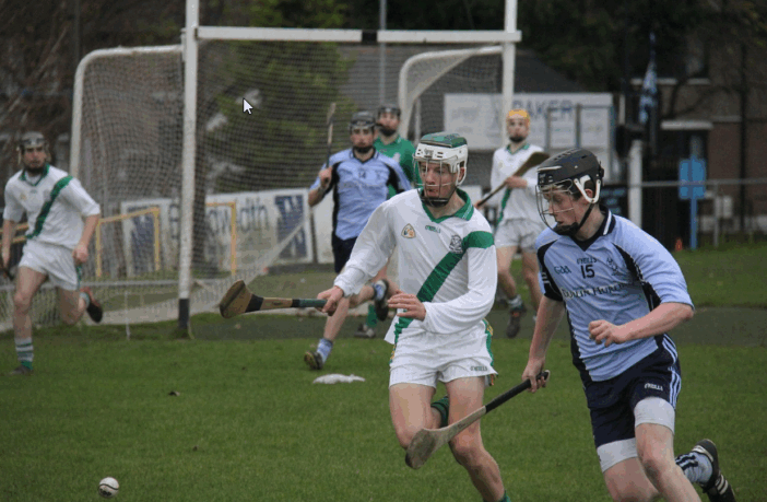 ireland psychic sporting predictions 2026