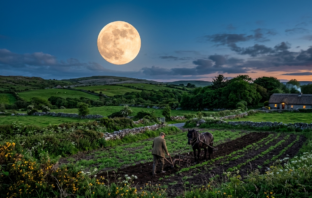 planting moon